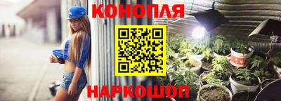 трава Камышлов