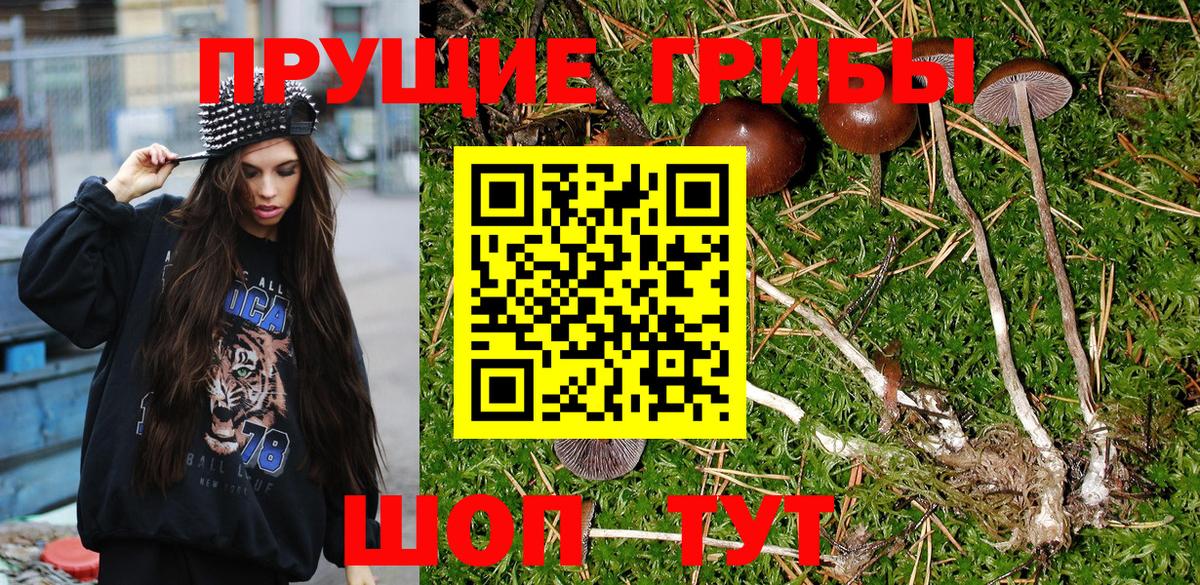Галлюциногенные грибы Psilocybe  Вход с VPN  Воркута 